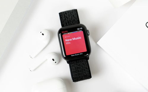 劉文軒 引領計算機軟硬件技術開發的創新之路